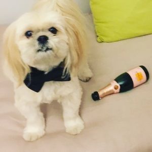 Meet your Posher, Dorothea